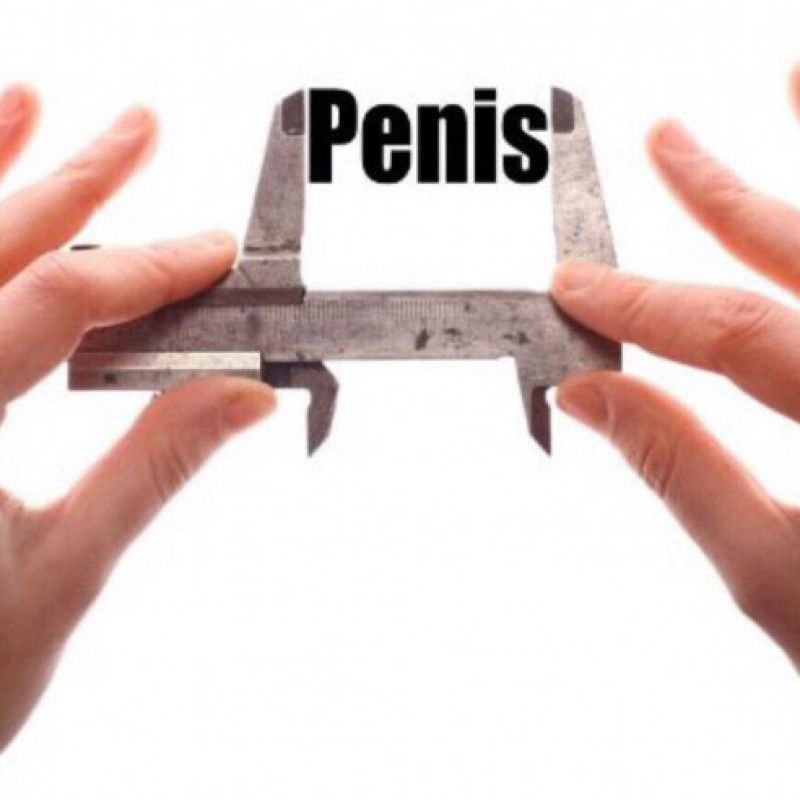 rate your penis