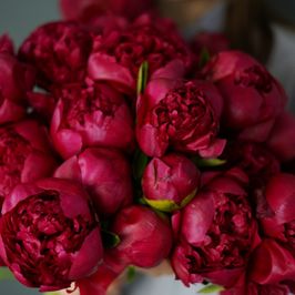 spoil me with flowers