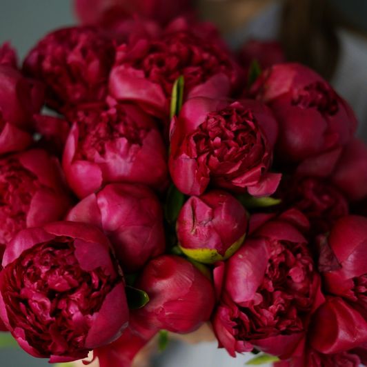 spoil me with flowers