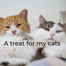 A treat for my cats