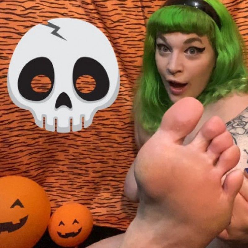 Tiger Stripe Backdrop Photo Set