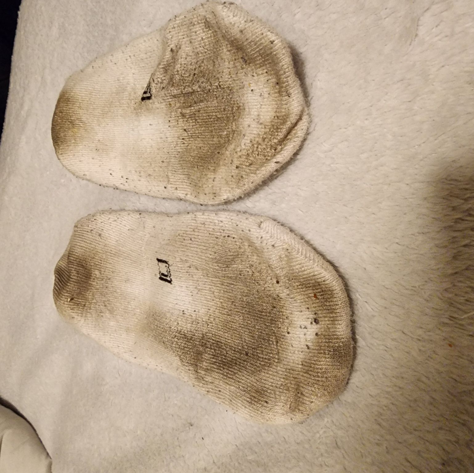 Stinky sweaty filthy socks