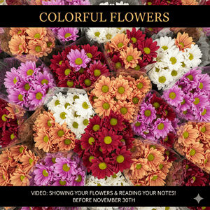 COLORFUL FLOWERS: