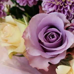 Treat me : To Flowers