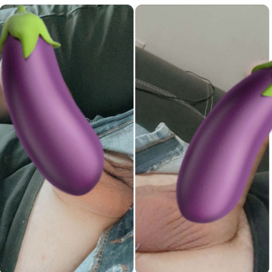 Smooth Cock Collection