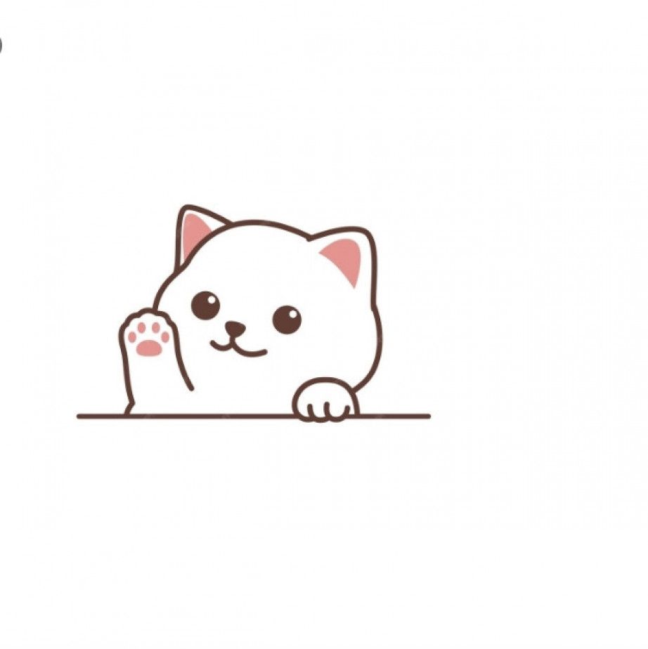 Spoil my pets