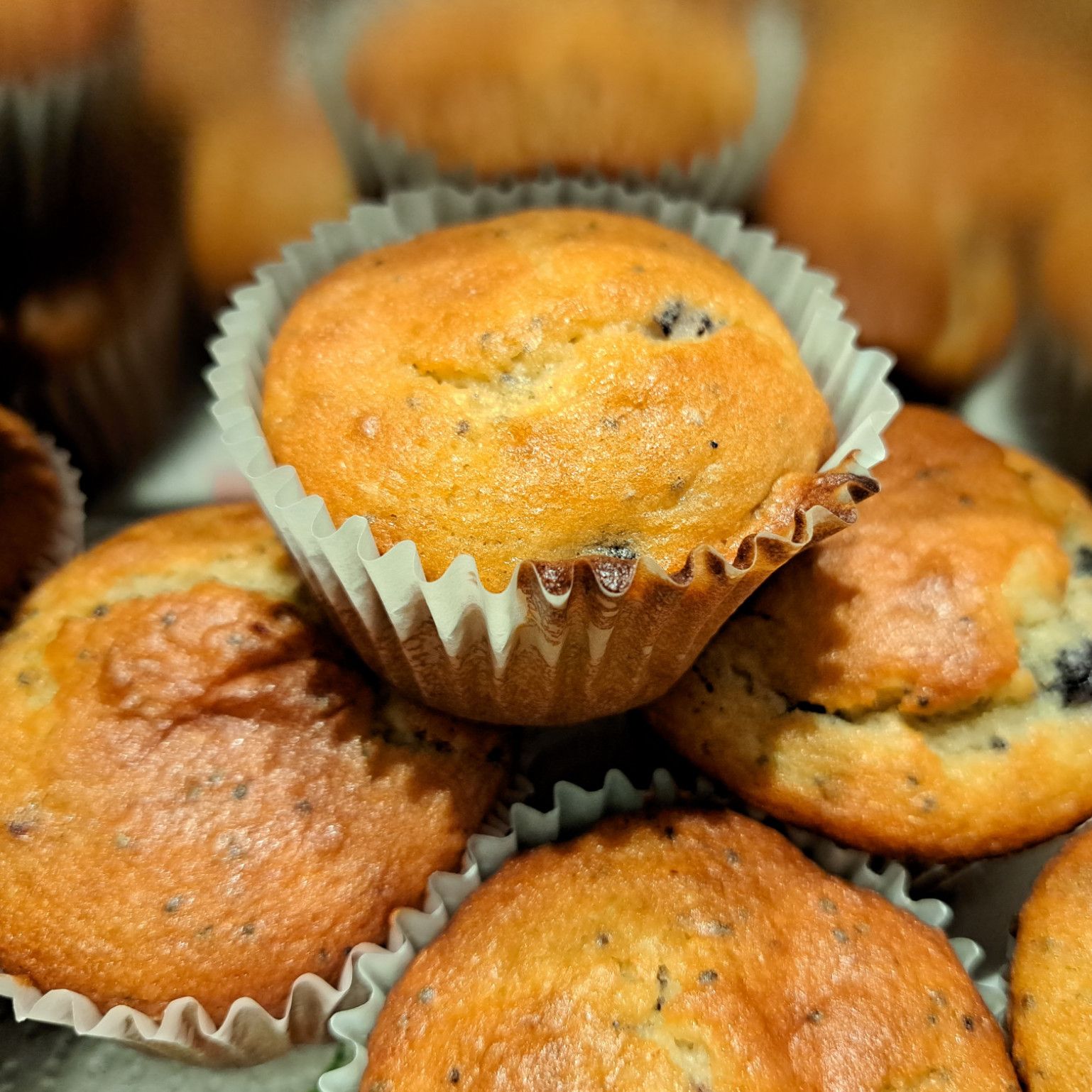 Buy me some baked goods!