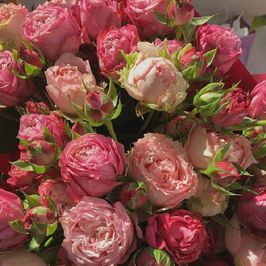 Please me with flowers