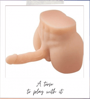 Torso
