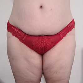Red Lace and Mesh Panties