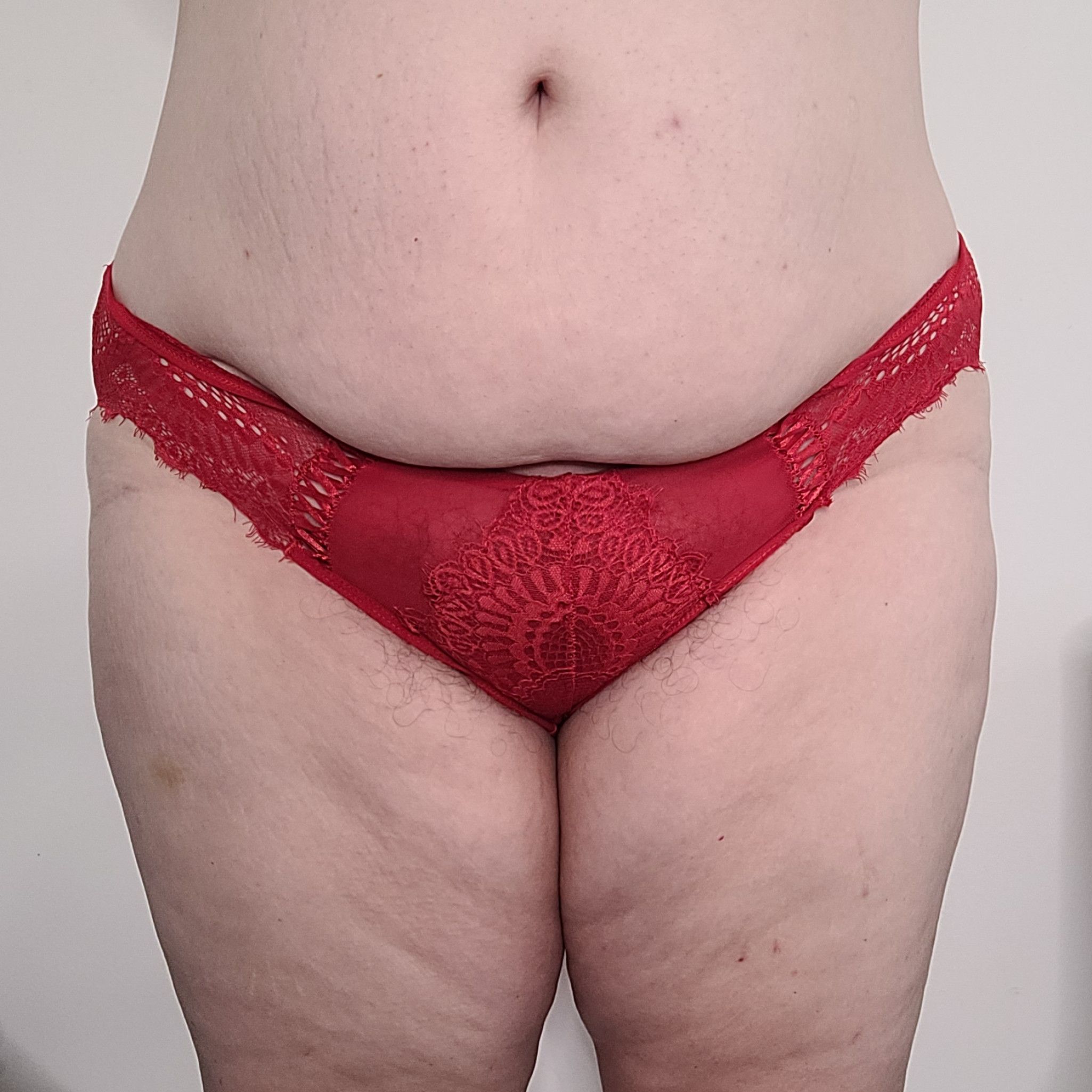 Red Lace and Mesh Panties