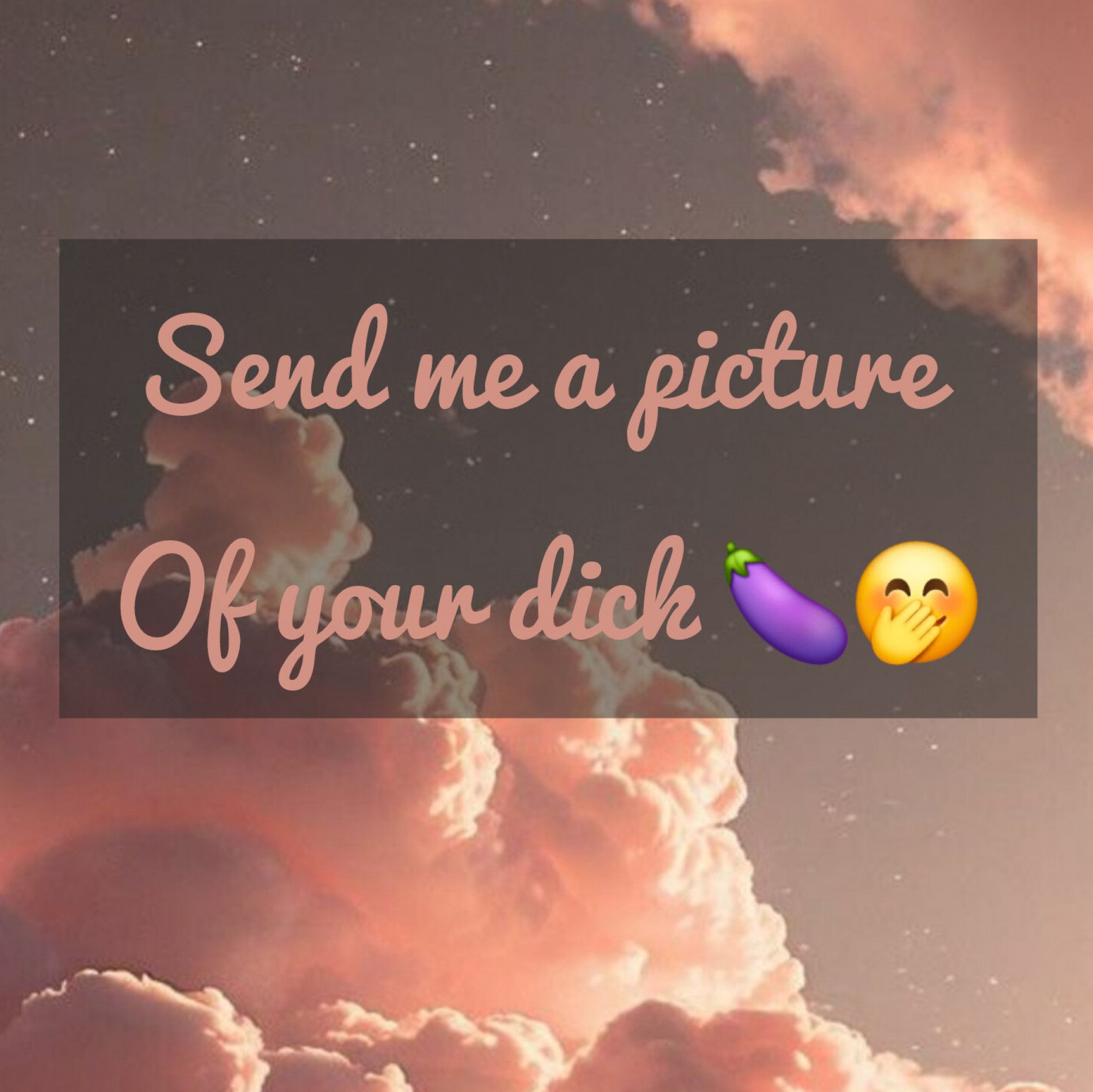 Send me a picture of your dick