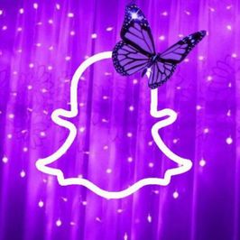 Snapchat Lifetime Access
