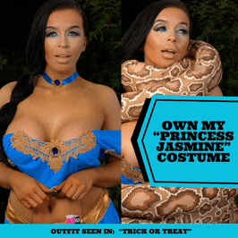Own my Princess Jasmine Costume