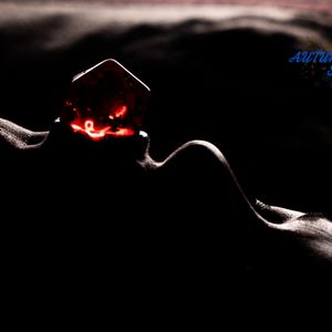 D20 Fixation 4x6 Signed Photo