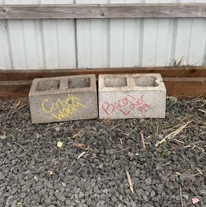 Cinder Blocks for my new garden beds!