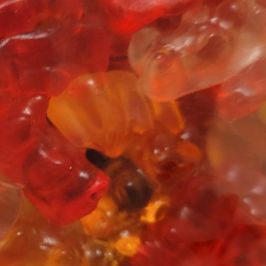 Anal Gummy Bears