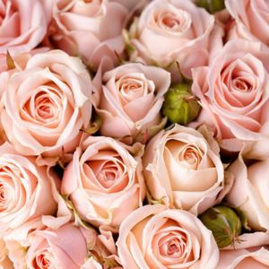 BUY ME A FLOWERS