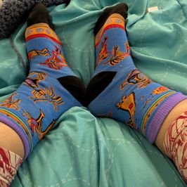 wild socks
