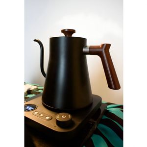 Electric Gooseneck Kettle