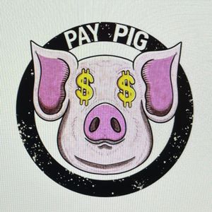 PAYPIG
