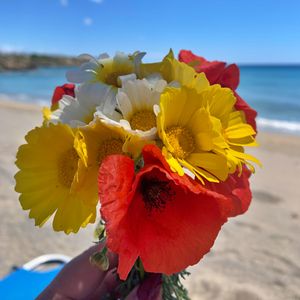 Buy Me Flowers