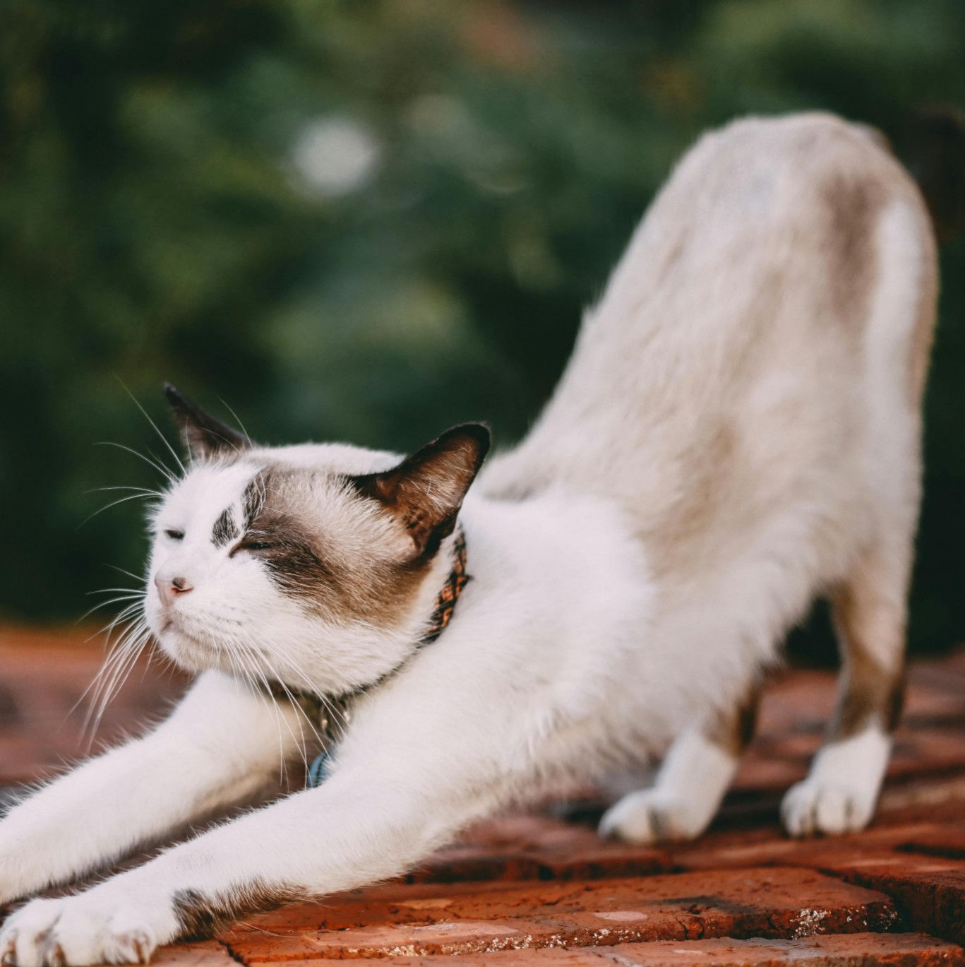 Spoil me to a stretching class :3