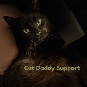 Toy and Care for My Cats