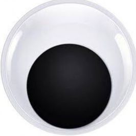 Accessorize Your Pet Rock