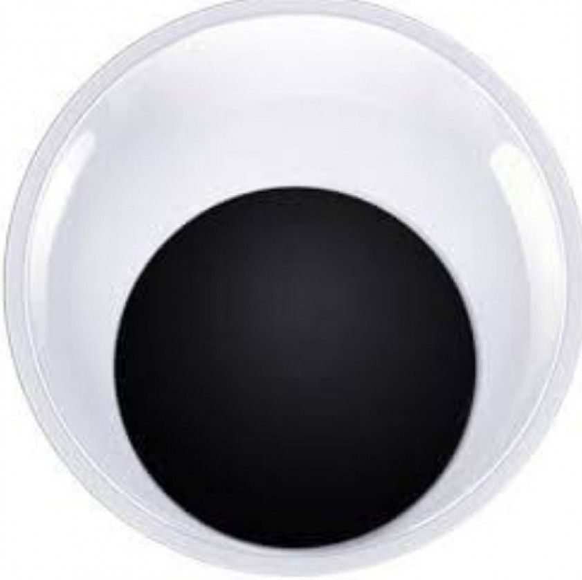 Accessorize Your Pet Rock