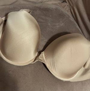 Leya Falcon 34ddd worn bra