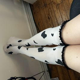 cow knee high socks