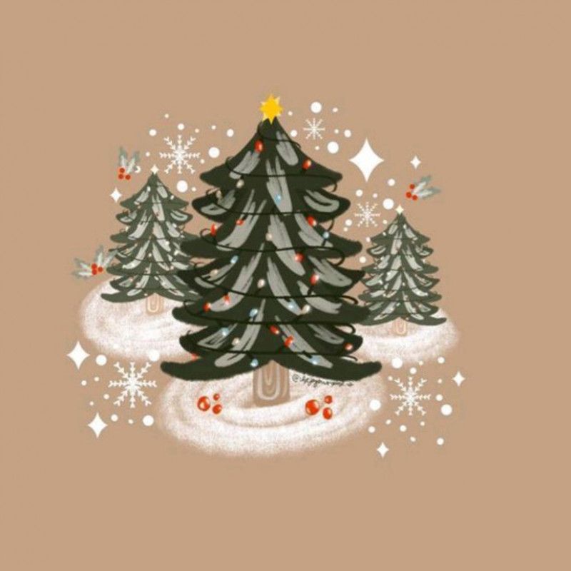 Christmas card with sfw polaroid