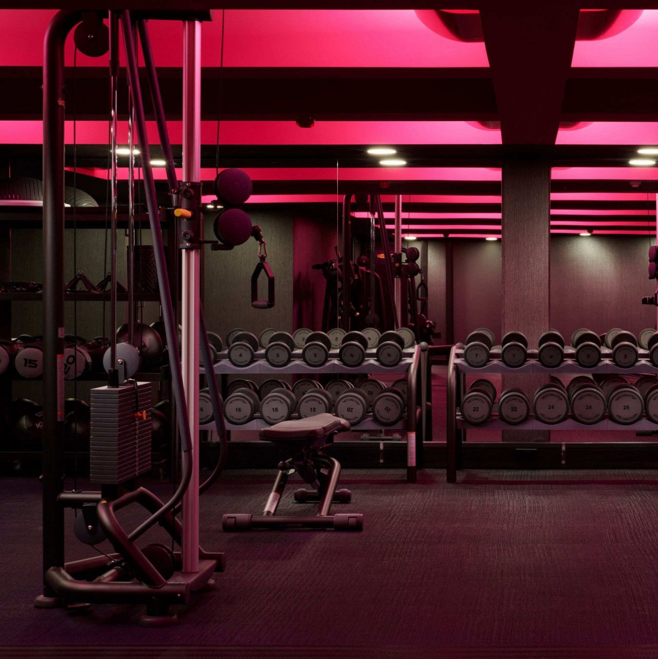 Gym membership