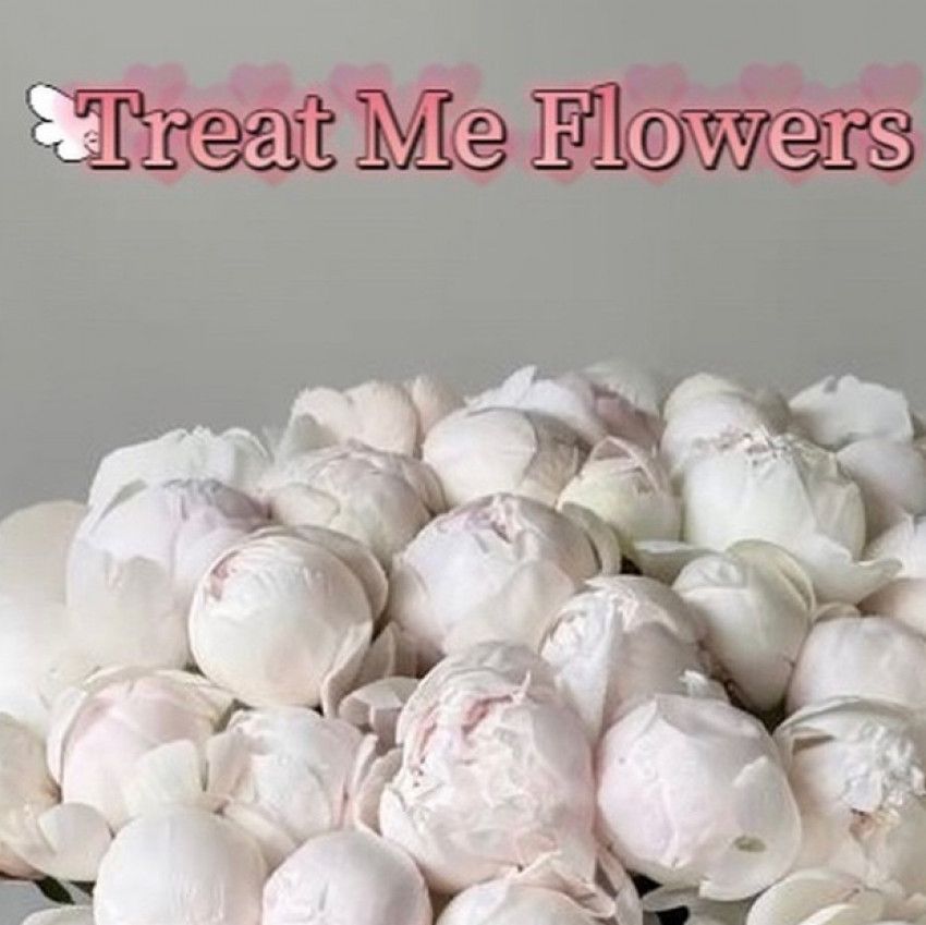 Treat me : flowers 