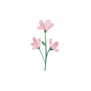 Buy me flowers
