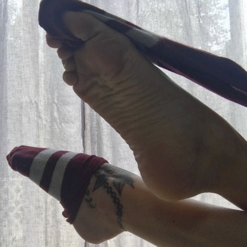 Airplane Socks  Used