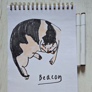 Marker pet drawing