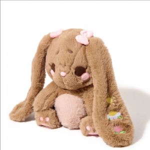 Bunny toy for me