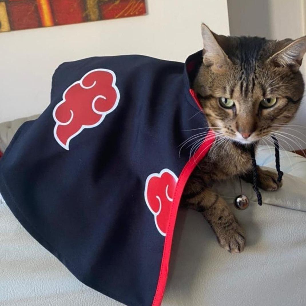 Castle for my kittens