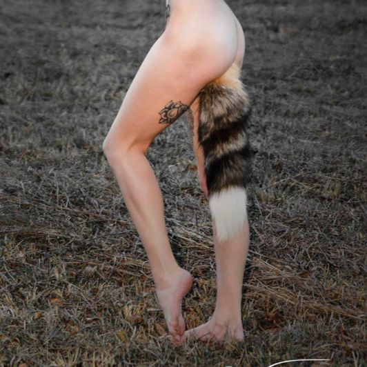 Butt plug Tail Fund