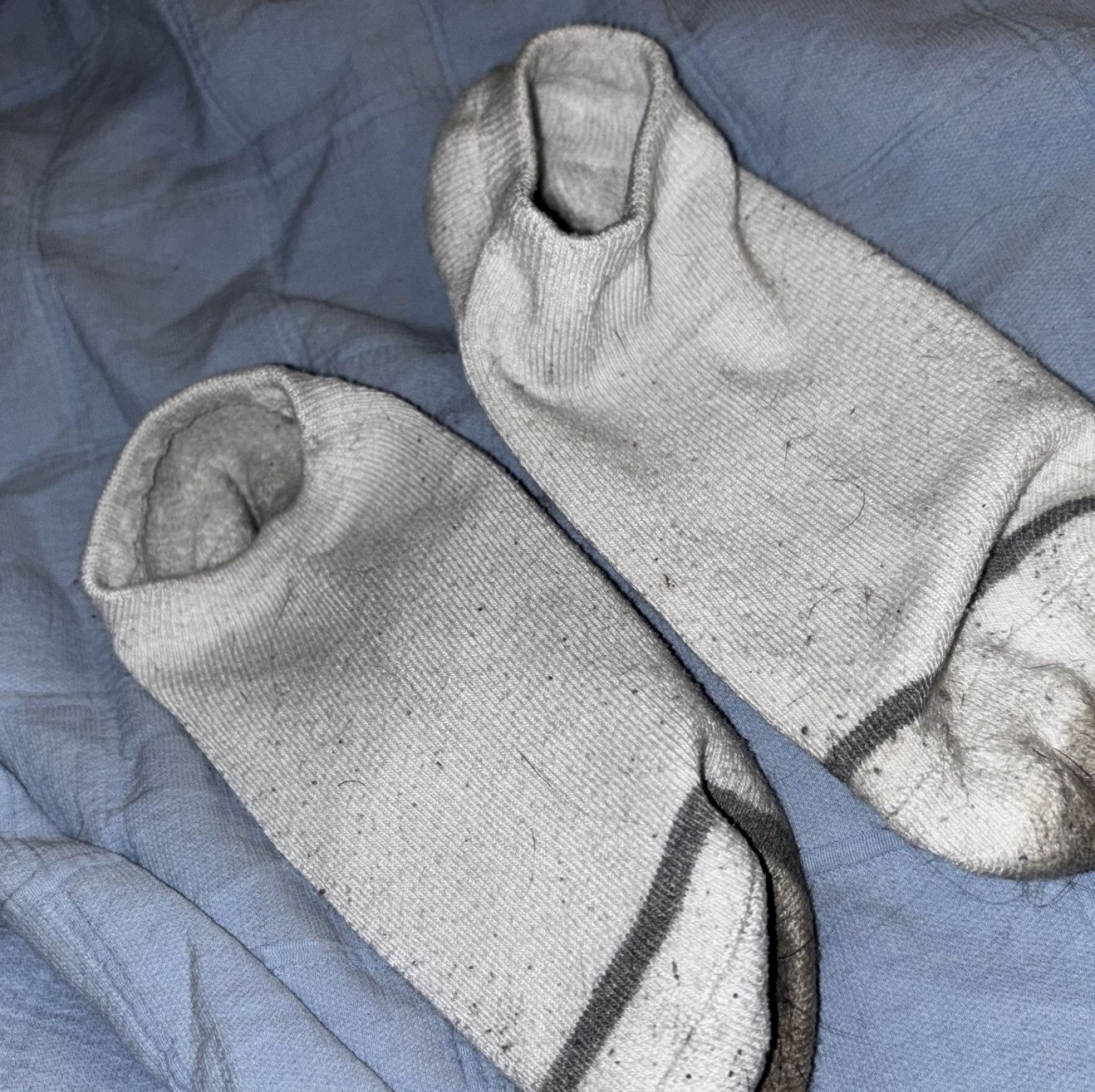 Lolas sweaty and dirty socks from cardio and sauna