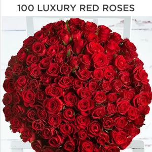 100 Beautiful Red Roses for a Beautiful Girl