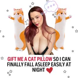 Gift Me A Cat Pillow