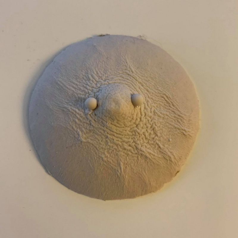 Plaster nipple cast