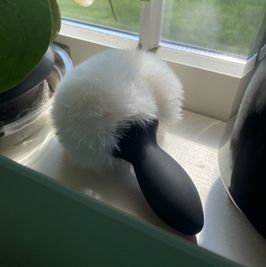 Used Bunny Tail Butt Plug