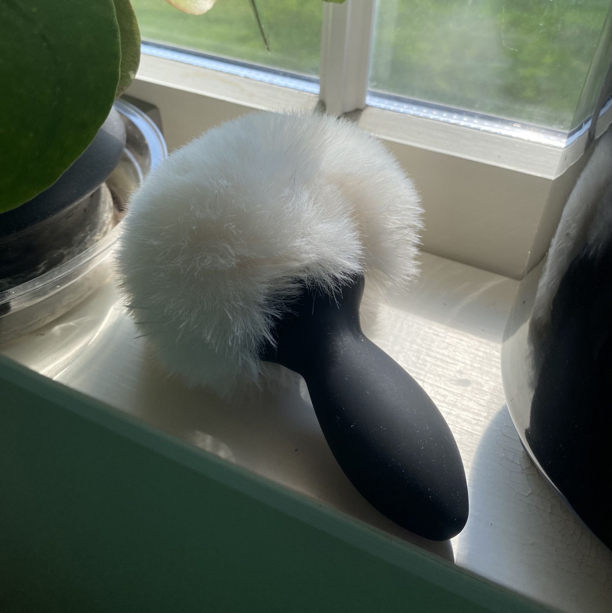 Used Bunny Tail Butt Plug