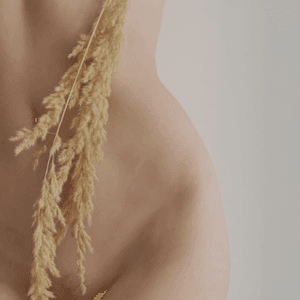 My Body Aesthetics