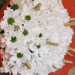Buy me some flowers!