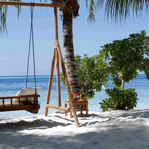 Make my dream come true Give me tickets to the islands